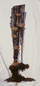 Sculpture